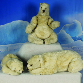 Ours Polaire Famille