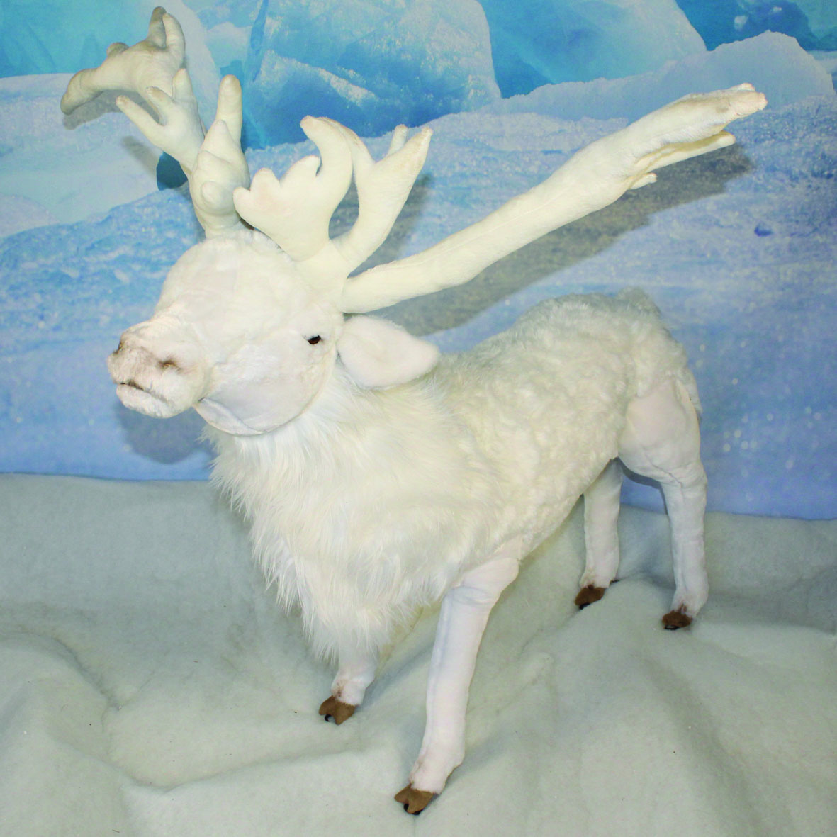 Petit Renne Blanc sauvage